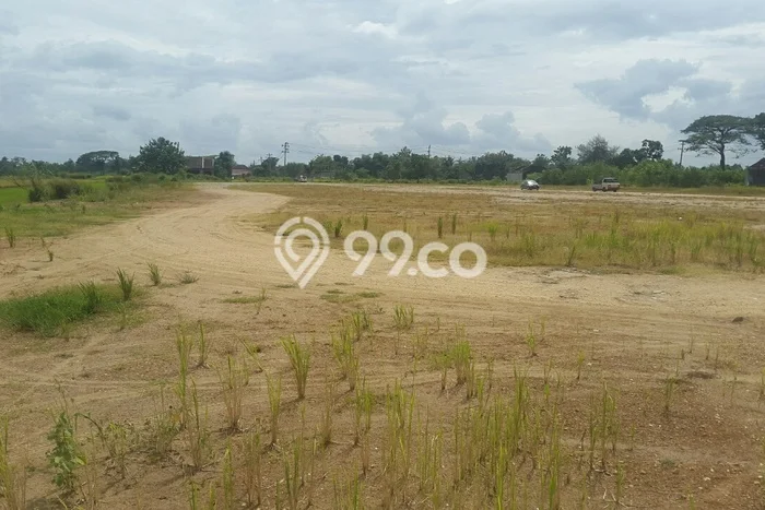 Lahan Investasi Lokasi Juwiring Klaten SHM Lahan Investasi Lokasi Juwiring Klaten SHM
