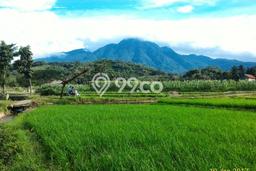 Tanah Dijual Lokasi Tenjolaya, Bogor Luas 3800m2 Legalitas Aman Tanah Dijual Lokasi Tenjolaya, Bogor Luas 3800m2 Legalitas Aman