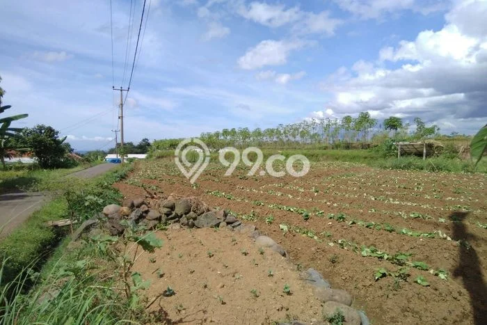 Dijual Tanah di Tenjolaya, Luas 920m², Lingkungan Asri Dijual Tanah di Tenjolaya, Luas 920m², Lingkungan Asri