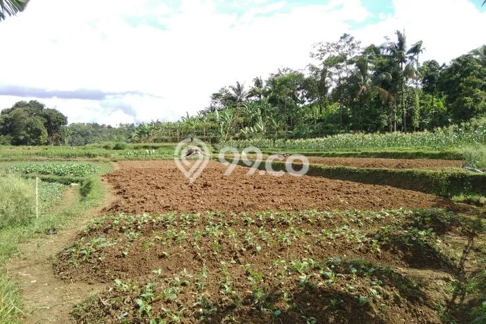 Dijual Tanah di Tenjolaya, Luas 920m², Lingkungan Asri Dijual Tanah di Tenjolaya, Luas 920m², Lingkungan Asri