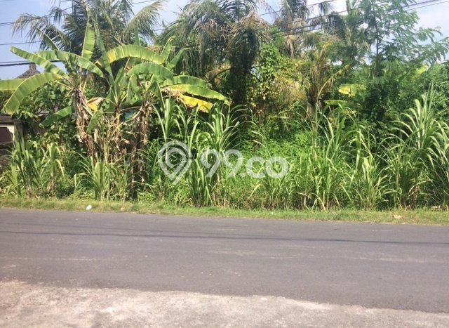 Tanah Disewa Strategis di Badung Luas 980m2 Tanah Disewa Strategis di Badung Luas 980m2