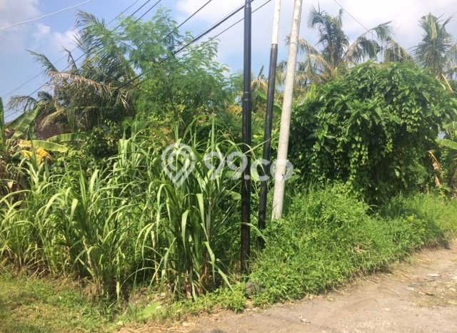 Tanah Disewa Strategis di Badung Luas 980m2 Tanah Disewa Strategis di Badung Luas 980m2