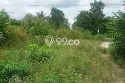 Lahan Kosong Dijual di Siak Hulu, Kampar, Luas 8930m2 Area Strategis Lahan Kosong Dijual di Siak Hulu, Kampar, Luas 8930m2 Area Strategis