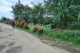 Lahan untuk Dijual Lokasi Dramaga, Bogor Luas 2000m2 SHM Lahan untuk Dijual Lokasi Dramaga, Bogor Luas 2000m2 SHM