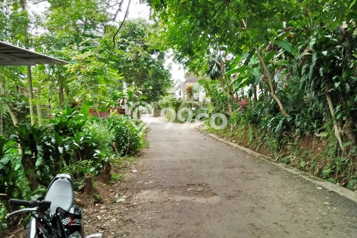 Tanah di Cijayanti, Luas 2500m², Area Komersial Tanah di Cijayanti, Luas 2500m², Area Komersial