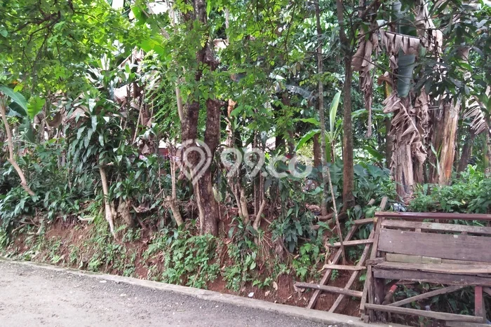 Tanah di Cijayanti, Luas 2500m², Area Komersial Tanah di Cijayanti, Luas 2500m², Area Komersial