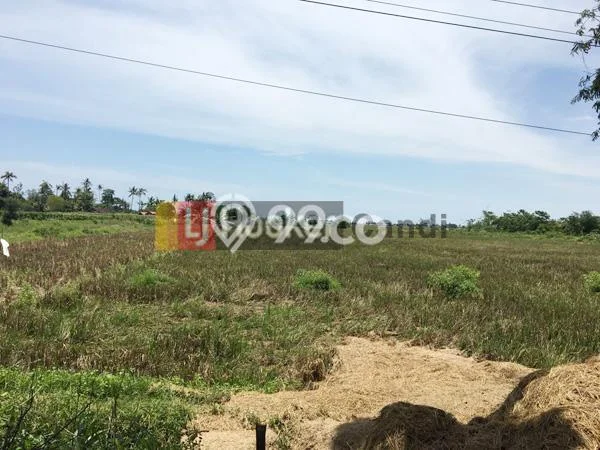 Tanah untuk Dijual di Kaliwungu Kendal Luas 17941m2 Tanah untuk Dijual di Kaliwungu Kendal Luas 17941m2