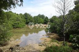 Tanah Kavling Dijual di Tanjung Benoa, Badung dengan Luas Tanah 15000m2 Tanah Kavling Dijual di Tanjung Benoa, Badung dengan Luas Tanah 15000m2
