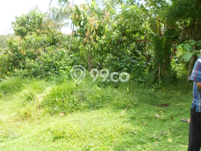 HARGA MENARIK! Tanah Kawasan Megati, Luas 15000m², Kawasan Berkembang, Bebas Longsor HARGA MENARIK! Tanah Kawasan Megati, Luas 15000m², Kawasan Berkembang, Bebas Longsor
