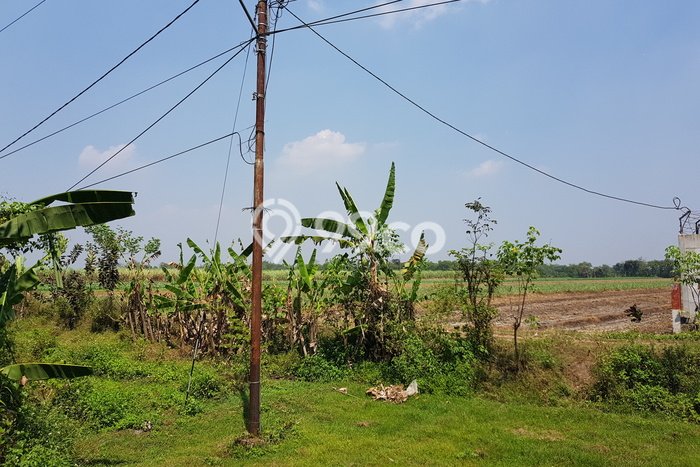 Tanah Kavling di Dlanggu Dijual dengan Luas 35000m2 Tanah Kavling di Dlanggu Dijual dengan Luas 35000m2