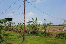 Tanah Kavling di Dlanggu Dijual dengan Luas 35000m2 Tanah Kavling di Dlanggu Dijual dengan Luas 35000m2