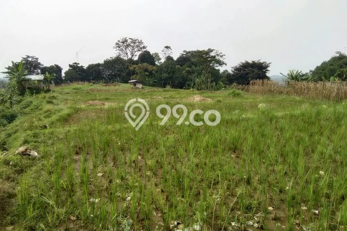 HARGA MENARIK! Tanah Kawasan Tenjolaya, Luas 1000m², Area Nyaman, Bebas Banjir HARGA MENARIK! Tanah Kawasan Tenjolaya, Luas 1000m², Area Nyaman, Bebas Banjir