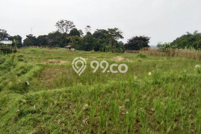 HARGA MENARIK! Tanah Kawasan Tenjolaya, Luas 1000m², Area Nyaman, Bebas Banjir HARGA MENARIK! Tanah Kawasan Tenjolaya, Luas 1000m², Area Nyaman, Bebas Banjir