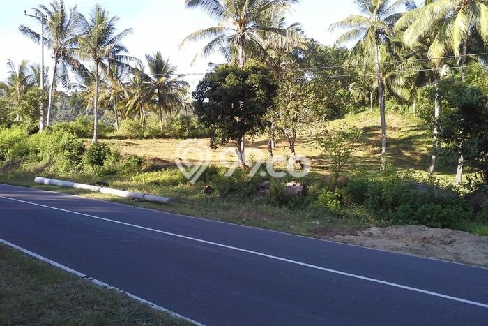 Tanah Investasi Dijual di Lombok Barat Punya Luas 1m2 Tanah Investasi Dijual di Lombok Barat Punya Luas 1m2