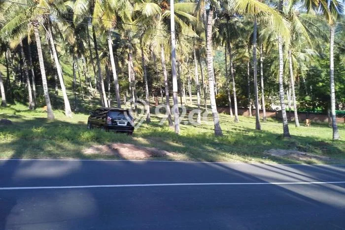 Tanah Investasi Dijual di Lombok Barat Punya Luas 1m2 Tanah Investasi Dijual di Lombok Barat Punya Luas 1m2