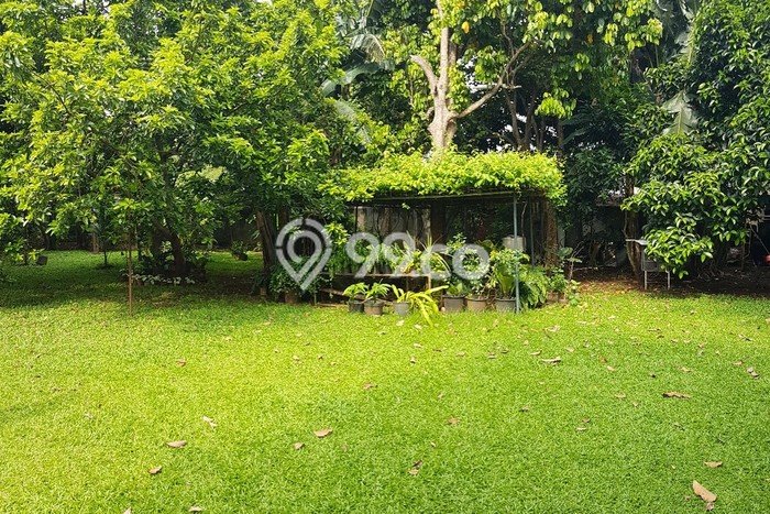 Tanah Dijual Lokasi Kramat Jati Jakarta Timur Lain-lain Tanah Dijual Lokasi Kramat Jati Jakarta Timur Lain-lain