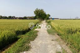 Tanah di Tasikmadu, Luas 3103m², Akses Jalan Raya Tanah di Tasikmadu, Luas 3103m², Akses Jalan Raya