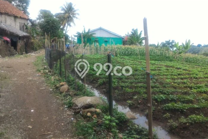 Tanah di Tenjolaya, Bogor Luas 2000m2 Dijual Segera Tanah di Tenjolaya, Bogor Luas 2000m2 Dijual Segera