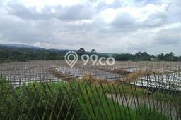 Tanah Kavling di Cibungbulang Dijual dengan Luas 60000m2 Tanah Kavling di Cibungbulang Dijual dengan Luas 60000m2