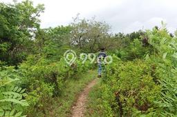 Dijual Tanah Lokasi Nusa Penida, Klungkung Seluas 15000m2 Dijual Tanah Lokasi Nusa Penida, Klungkung Seluas 15000m2