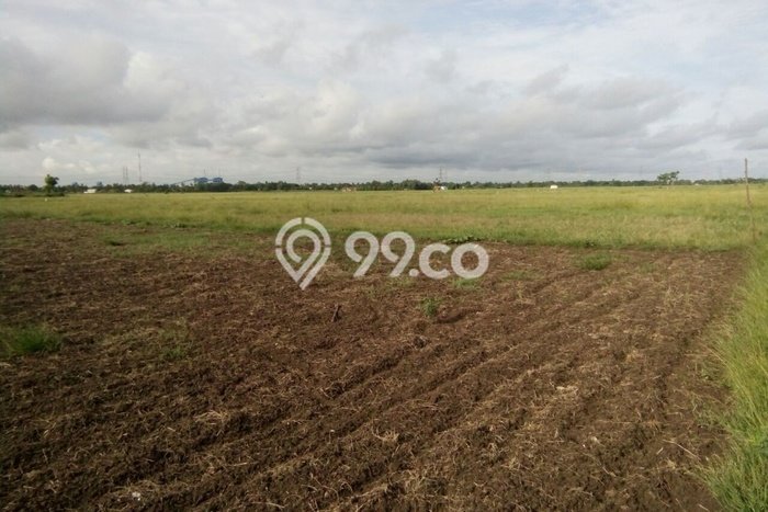 Kavling Tanah Dijual di Babelan Bekasi Spesifikasi 2.7e+06m2 Kavling Tanah Dijual di Babelan Bekasi Spesifikasi 2.7e+06m2