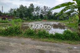 Untuk Dijual Tanah di Mlati Sleman Luas 1300m2 SHM Untuk Dijual Tanah di Mlati Sleman Luas 1300m2 SHM