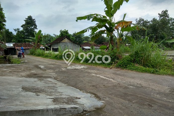 Untuk Dijual Tanah di Mlati Sleman Luas 1300m2 SHM Untuk Dijual Tanah di Mlati Sleman Luas 1300m2 SHM