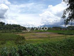 Dijual Tanah Kawasan Tarogong Kaler, Luas 2100m2m², Area Potensial Dijual Tanah Kawasan Tarogong Kaler, Luas 2100m2m², Area Potensial