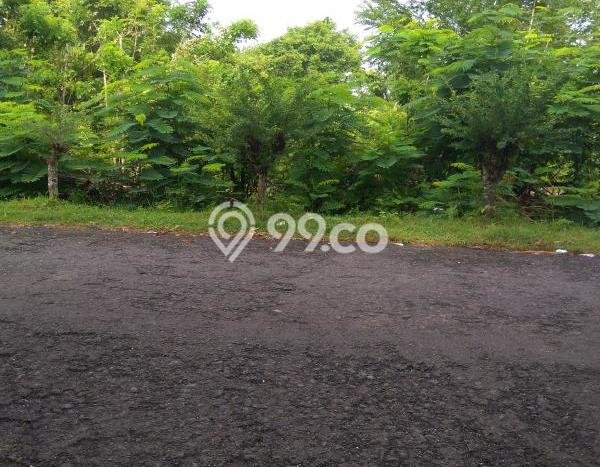 Tanah Kavling Disewakan di Nusa Dua dengan Luas 15600m2 Tanah Kavling Disewakan di Nusa Dua dengan Luas 15600m2