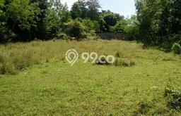 Tanah Kavling Dijual di Ungasan, Badung dengan Luas Tanah 2000m2 Tanah Kavling Dijual di Ungasan, Badung dengan Luas Tanah 2000m2
