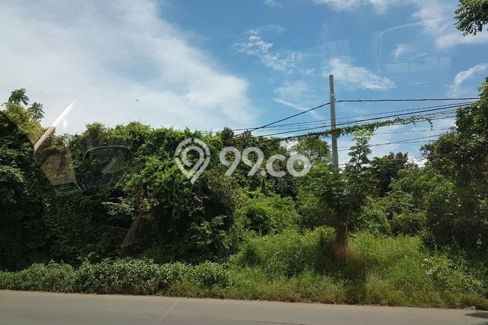 Tanah Investasi Dijual di Serang Punya Luas 50000m2 Tanah Investasi Dijual di Serang Punya Luas 50000m2