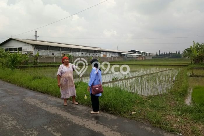 Lahan Strategis di Batujajar Dijual dengan Luas 1m2 Lahan Strategis di Batujajar Dijual dengan Luas 1m2
