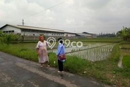 Lahan Strategis di Batujajar Dijual dengan Luas 1m2 Lahan Strategis di Batujajar Dijual dengan Luas 1m2