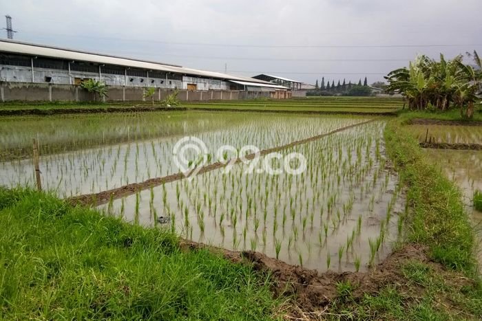 Lahan Strategis di Batujajar Dijual dengan Luas 1m2 Lahan Strategis di Batujajar Dijual dengan Luas 1m2