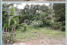 Kavling Tanah di Duren Sawit Dijual Luas 295m2 Legalitas SHM Kavling Tanah di Duren Sawit Dijual Luas 295m2 Legalitas SHM