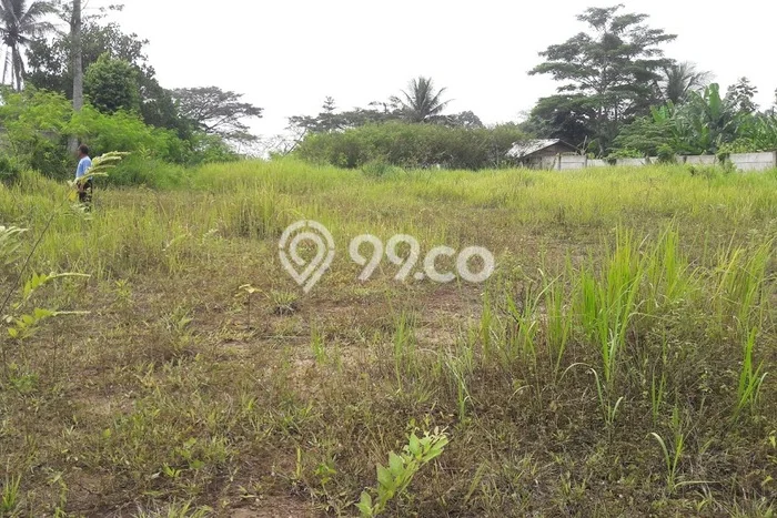 Disewakan Tanah di Tangerang, Luas 10000m2 Area Berkembang Disewakan Tanah di Tangerang, Luas 10000m2 Area Berkembang