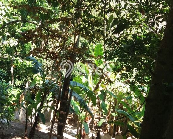Dijual Tanah di Tabanan, Luas 1740m2 SHM Dijual Tanah di Tabanan, Luas 1740m2 SHM