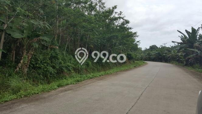 Tanah Dijual Lokasi Strategis di Pandeglang dengan Luas 3366m2 Tanah Dijual Lokasi Strategis di Pandeglang dengan Luas 3366m2