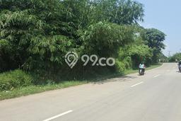 Jarang Ada! Tanah di Jasinga Punya Luas 14955m2 - Jarang Ada! Tanah di Jasinga Punya Luas 14955m2 -