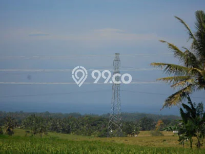 HARGA TERBAIK! Tanah Kawasan Megati, Luas 30000m², Area Potensial HARGA TERBAIK! Tanah Kawasan Megati, Luas 30000m², Area Potensial