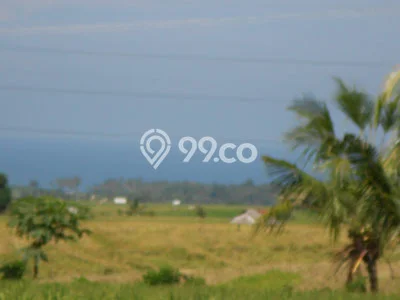 HARGA TERBAIK! Tanah Kawasan Megati, Luas 30000m², Area Potensial HARGA TERBAIK! Tanah Kawasan Megati, Luas 30000m², Area Potensial
