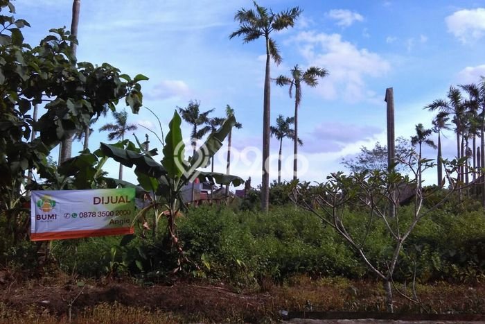 Lahan Strategis di Ngemplak Dijual dengan Luas 5800m2 Lahan Strategis di Ngemplak Dijual dengan Luas 5800m2