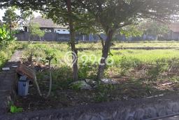 Tanah Strategis Kawasan Canggu, Luas 435m², Dekat Canggu, Badung, Badung Tanah Strategis Kawasan Canggu, Luas 435m², Dekat Canggu, Badung, Badung