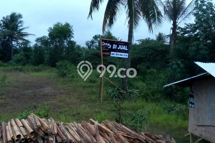 Tanah Dijual Lokasi Ciwandan Cilegon SHM Tanah Dijual Lokasi Ciwandan Cilegon SHM