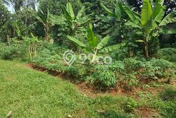 Untuk Dijual Tanah di Gunung Sindur Bogor Luas 1m2 SHM Untuk Dijual Tanah di Gunung Sindur Bogor Luas 1m2 SHM