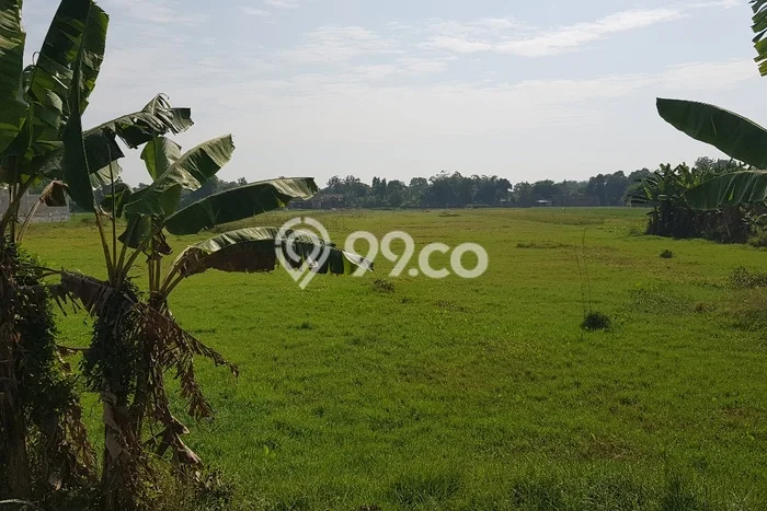 Lahan untuk Dijual di Juwiring Klaten Luas 4875m2 Lahan untuk Dijual di Juwiring Klaten Luas 4875m2