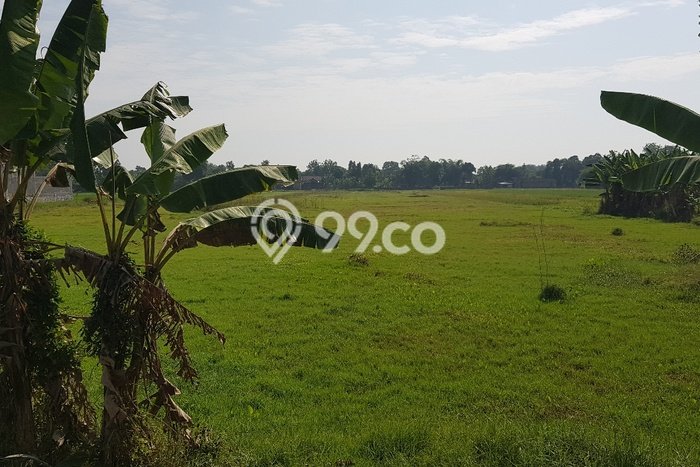 Lahan untuk Dijual di Juwiring Klaten Luas 4875m2 Lahan untuk Dijual di Juwiring Klaten Luas 4875m2