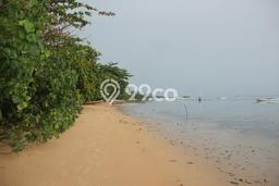 Untuk Dijual Tanah di Karimunjawa Jepara Luas 9440m2 SHM Untuk Dijual Tanah di Karimunjawa Jepara Luas 9440m2 SHM