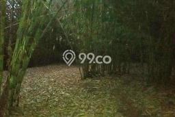 Lahan untuk Dijual Lokasi Gunung Sindur, Bogor Luas 10000m2 SHM Lahan untuk Dijual Lokasi Gunung Sindur, Bogor Luas 10000m2 SHM