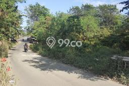 Lahan untuk Dijual di Gunung Sindur Bogor Luas 1700m2 Lahan untuk Dijual di Gunung Sindur Bogor Luas 1700m2
